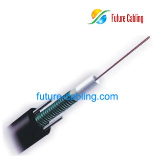 Central Loose Tube Outdoor Fiber Optic Cable--GYXTW