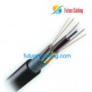 Steel Tape Layer Armored & Stranded Loose Tube Outdoor Cable --GYTS