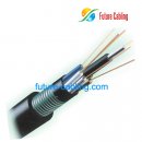 Armored and Double Sheathed Outdoor Fiber Cable--GYTY53
