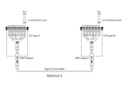 Understanding Polarity in MTP®/MPO System