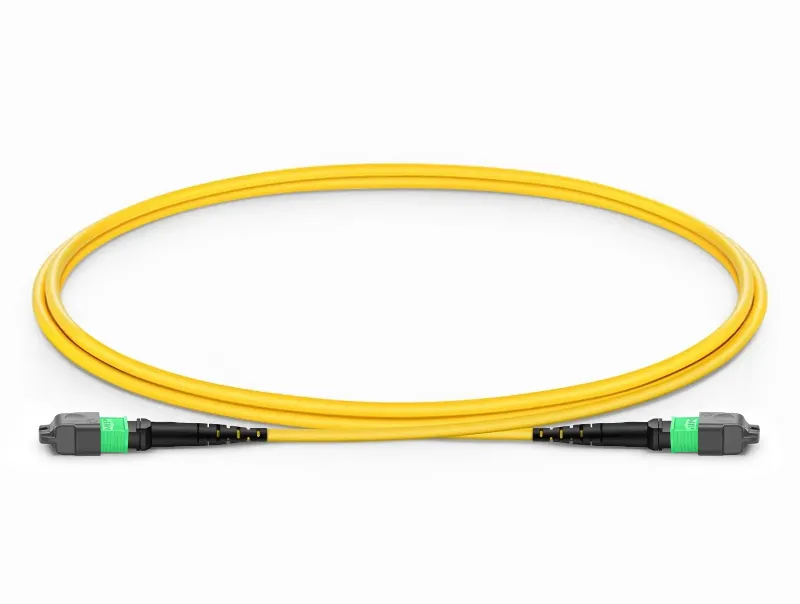 MTP/MPO Jumpers
