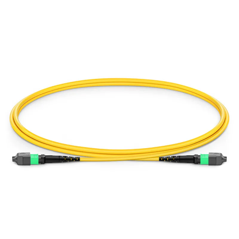 MTP-12 APC to MTP-12 APC OS2 SM 9/125um OFNP Type B Fiber Jumper