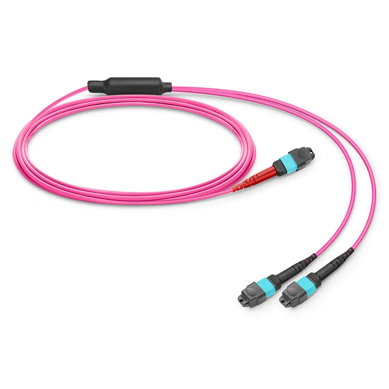 MTP® Breakout Cable, MTP®-24 UPC (Female) to 2 x MTP®-12 UPC (Female), 24 Fibers, Multimode (OM4), Plenum (OFNP), 0.35dB Max, Type A, Magenta