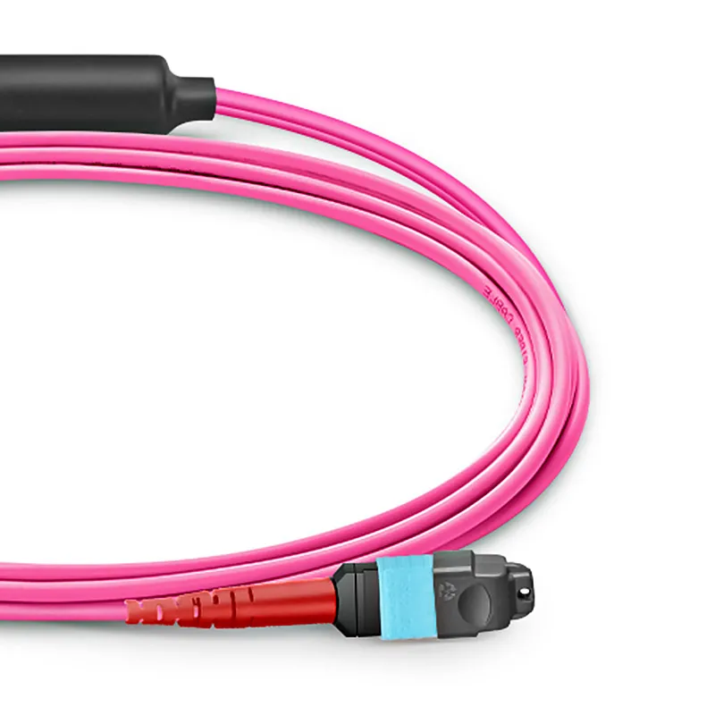 MTP® Breakout Cable, MTP®-24 UPC (Female) to 2 x MTP®-12 UPC (Female), 24 Fibers, Multimode (OM4), Plenum (OFNP), 0.35dB Max, Type A, Magenta