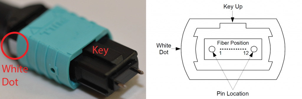 Understanding Polarity in MTP®/MPO System