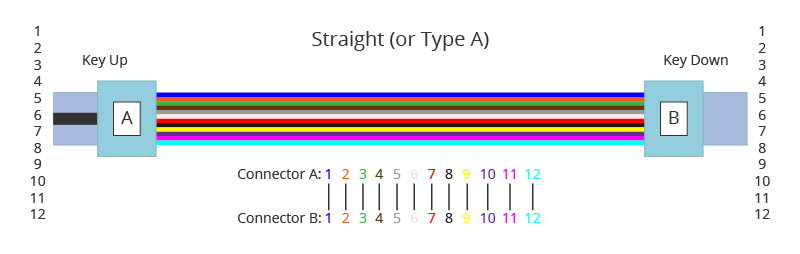 Understanding Polarity in MTP®/MPO System