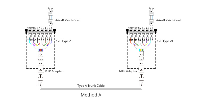 Understanding Polarity in MTP®/MPO System