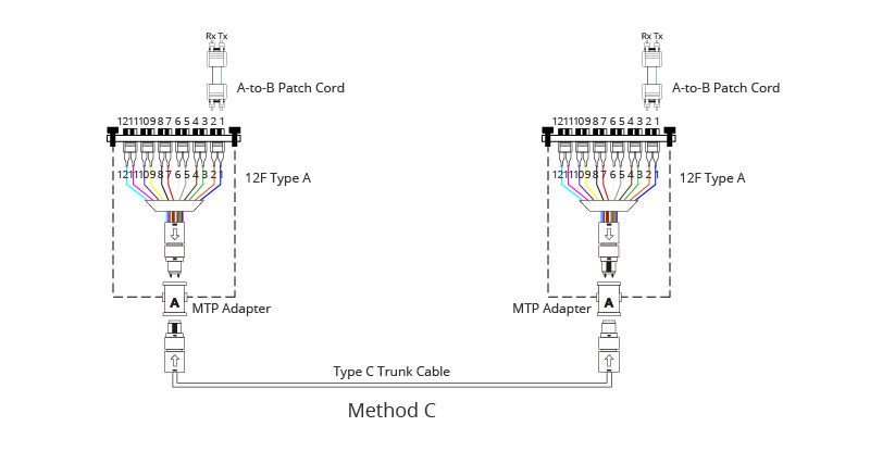 Understanding Polarity in MTP®/MPO System